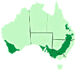 Australian  wheatbelt