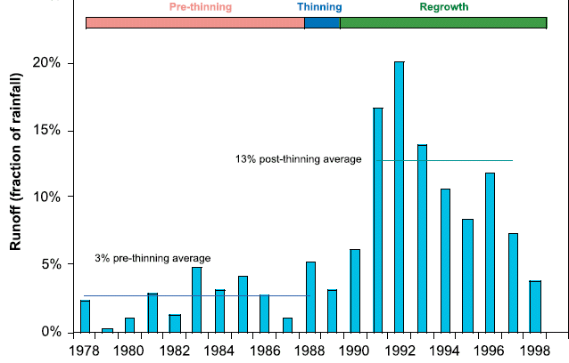 Higgins catchment thinning